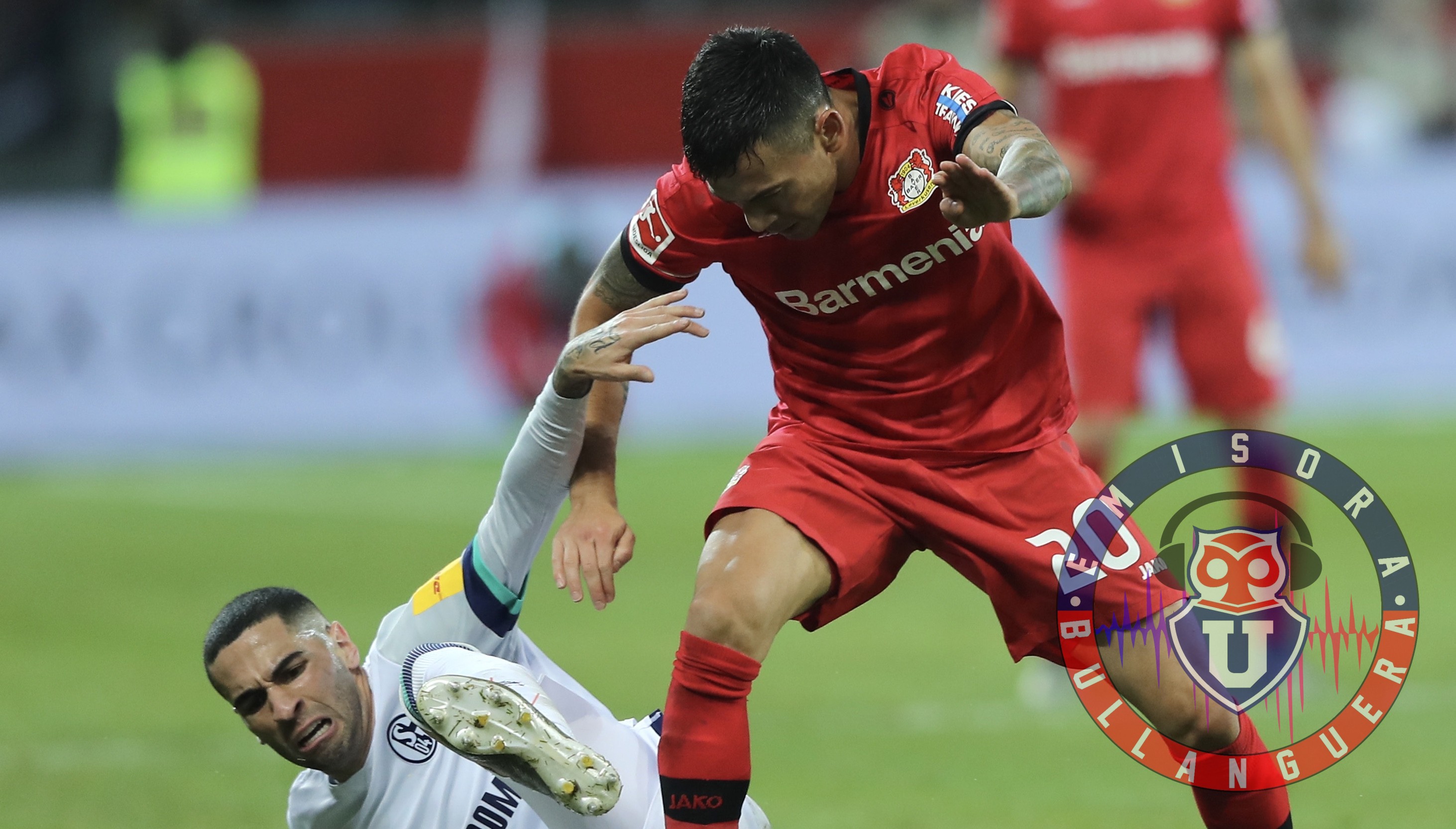Sigue en racha: El Bayer Leverkusen consiguió nueva victoria con Charles Aranguiz como protagonista